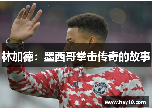 林加德：墨西哥拳击传奇的故事